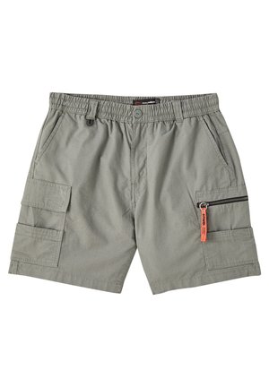 Short cargo gris clair avec taille élastique, poches avant, et poches latérales à rabat et à fermeture éclair avec un tirette orange sur la fermeture.