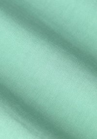 Tissu vert menthe texturé avec une surface lisse ; présente un éclat subtil et un motif fin en côtes, mettant en valeur des variations d'intensité colorielle.