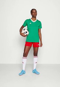 Zöld, rövid ujjú mez fehér részletekkel, piros nadrág és kék cipő. A játékos egy fekete-fehér focilabdát tart. Csíkos fehér zoknik.