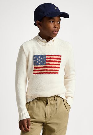THE ICONIC FLAG SWEATER - Džemper - nevis