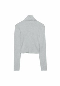 Grauer langärmliger Cropped-Top mit hohem Kragen, aus einem weichen, glatten Stoff gefertigt. Hat ein einfaches Design ohne Muster oder Verzierungen.