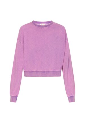 Violetti lyhyt hiha-sweatshirt, jossa on pitkät hihat, pyöreä kaula-aukko ja ribbaatut hihansuut. Kankaan pinta on pehmeä ja siinä on hienovaraisia sävyvaihteluja.