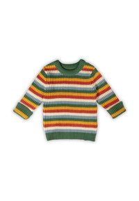 Gestreifter Strickpullover mit einem grünen gerippten Rundhals, der Streifen in Rot, Gelb, Weiß, Blau und Dunkelgrün über den Körper und die Ärmel aufweist.