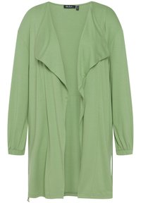 Hellgrüner langer Cardigan mit drapiertem offenen Vorderteil, langen Ärmeln und gerafften Manschetten, aus weichem, leichtem Stoff gefertigt.