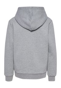 Grijze hoodie van een katoenmix, met een trekkoordhoed, ribgebreide manchetten en zoom, en een gespikkelde textuur over het geheel. Eenvoudig ontwerp zonder graphics.
