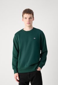 Groene sweatshirt met een ronde hals, lange mouwen, ribbels aan de mouwen en onderkant. Bevat een klein logo op de borst. Draagt samen met zwarte spijkerbroek.