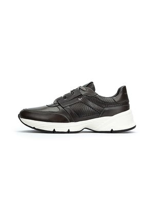NORWICH - Baskets basses - dark brown