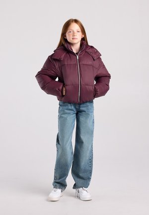 America Today, COAT - Winterjas - bordeaux