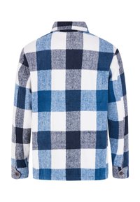 Camicia di flanella con un motivo a quadri blu e bianchi, colletto classico, maniche lunghe e polsini con bottoni. Tessuto morbido con una vestibilità rilassata.