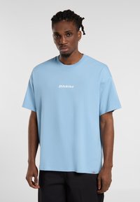 Dickies ENTERPRISE TEE - T-shirts print - glacier lake
