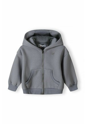 STANDARD  - Sweat zippé - grey