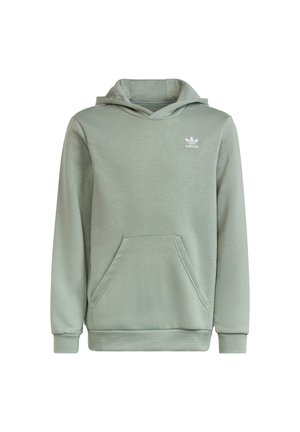 Sudadera con capucha verde hecha de tela suave. Cuenta con un bolsillo frontal y un pequeño logo blanco en el lado superior izquierdo. Ajuste clásico.