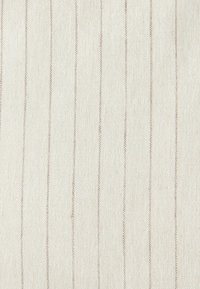 REGULAR FIT - STRIPED  - Lehká bunda - neutral