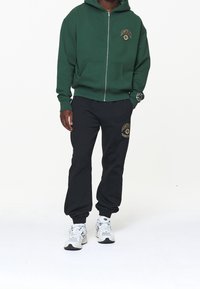 Pegador Sudadera con cremallera - green