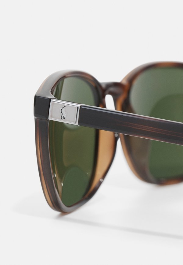 Sunglasses - shiny havana2