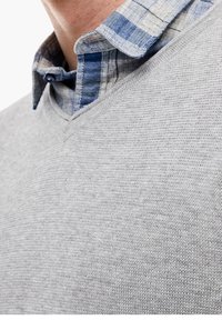 Homme portant une chemise à carreaux bleue et blanche sous un pull à col en V gris clair en tricot, épaules et cou visibles.