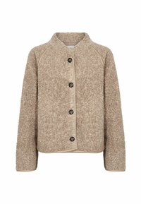 Ikke valgt, island fossil