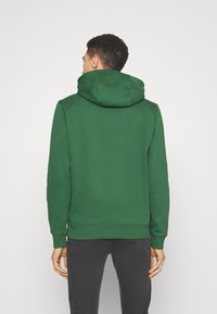 Tommy Jeans REGULAR HOODIE UNISEX - Sweater - collegiate green
