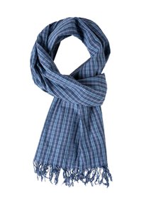Blue and green checked scarf made of lightweight fabric, featuring fringed edges and a soft texture, draped in a loop.