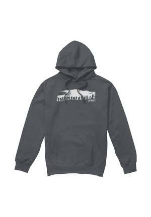 Cotton Soul, THE HOBBIT THE COMPANY - Hoodie - anthracite