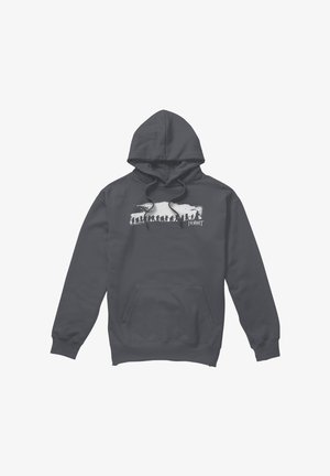 Cotton Soul, THE HOBBIT THE COMPANY - Kapuzenpullover - anthracite