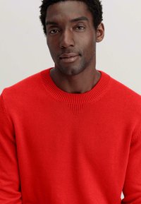 Roter Strickpullover mit einem strukturierten Rippenkragen und subtilen Details an den Schultern. Glatte Stoffoberfläche, eng anliegendes Design.