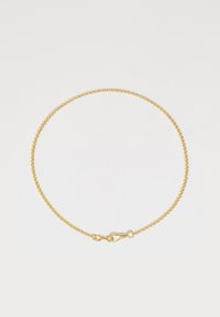 LOCKED NECKLACE - Ketting - yellow gold-coloured