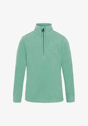 Mintgrüner Fleece-Pullover mit einem Viertelreißverschluss am Hals, langen Ärmeln und einem kleinen Logo auf der Brust. Weiche Textur und lässige Passform.