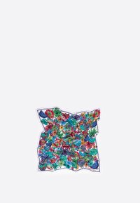 Ruudu siidist sall, millel on ere lillemuster roheliste, punaste ja siniste toonidega. Servad on valge äärisega, sall on pehme tekstuuriga.