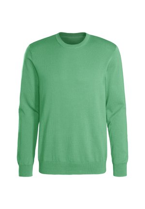 Schlichter grüner Pullover mit langen Ärmeln und Rundhalsausschnitt, mit gerippten Bündchen und Saum, auf weißem Hintergrund dargestellt.