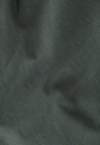 Next BELTED PRINTED STYLE SLIM FIT - Pantaloni - sage green