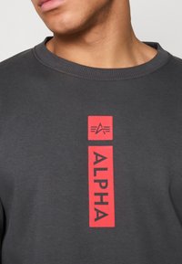 Tmavošedá mikina s veľkým červeným obdĺžnikovým grafickým motívom s textom "ALPHA" a logom nad ním. Hladká textúra, okrúhly dizajn goliera.