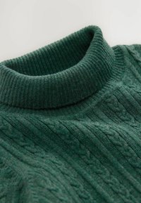 Pull à col roulé côtelé vert avec un motif en point de câble, texture douce et col proéminent. Vue en gros plan mettant l'accent sur les détails du tissu.