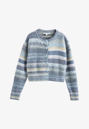 Next, SPACEDYE CREW NECK - Kardigan - blue multi