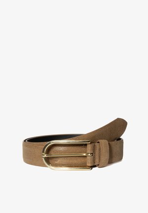 BA98 Riem - camel
