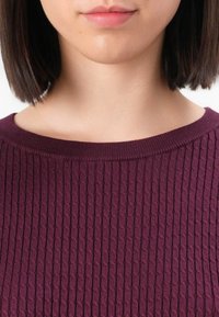 Partie inférieure du visage et cou d'une femme aux cheveux raides et foncés, portant un pull violet texturé à col rond sur fond blanc.