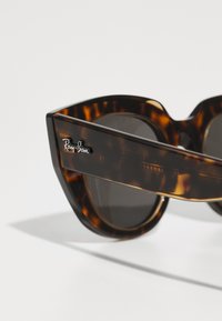 Kilpkonnakuju prillid, millel on nurgelised, ülisuurte raamidega, tumedat tooni läätsed ja Ray-Ban logo küljel. Sujuv plastmaterjal.