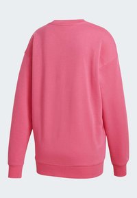 Rosa sweatshirt med avslappnad passform, långa ärmar och ribbade manschetter. Mjuk, slät struktur med rundad hals och inga synliga mönster.