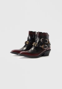 Une paire de bottines en cuir noires et rouge foncé, montantes jusqu'à la cheville, avec des orteils pointus, des talons carrés, des fermetures éclairs sur les côtés et des sangles à double boucle.