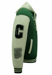 Local Fanatic COLLEGE  OVERSIZED  - Winterjas - groen
