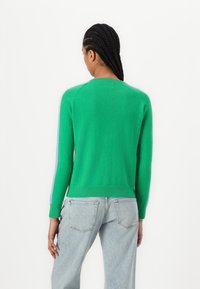 FROM FUTURE BANDE MULTICOLORE AUX MANCHES - Strikkegenser - tropical green