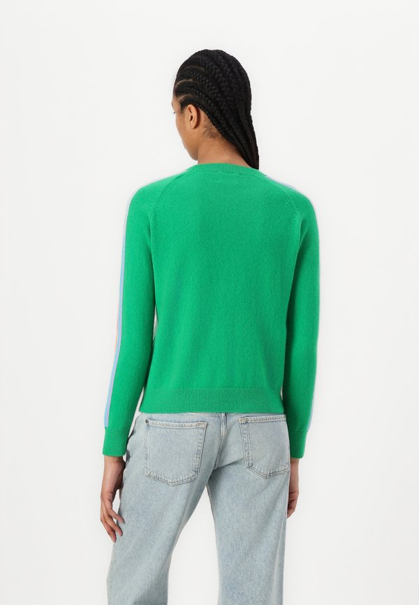 BANDE MULTICOLORE AUX MANCHES - Jumper3