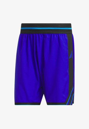 adidas Performance, ANTHONY EDWARDS CRAZY LITE - Kurze Sporthose - lucid blue