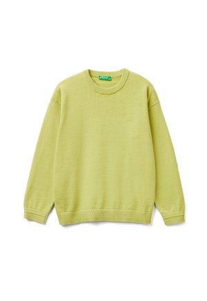 CREW NECK  - Trui - green