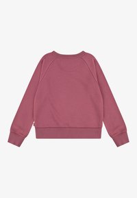 Felpa rosa con scollo rotondo, maniche raglan e polsini a coste. Tessuto morbido e orlo leggermente corto.