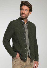 Grüne Strickjacke mit Zopfmuster, runder Ausschnitt und Metallknöpfen, übereinander getragen mit einem grauen Hemd mit Knöpfen. Kombiniert mit beigen Hosen.