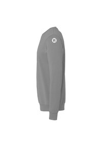 Grå sweatshirt med rund halsudskæring, lange ærmer og ribbede manchetter. Har et hvidt logo på venstre skulder. Glat stof struktur.