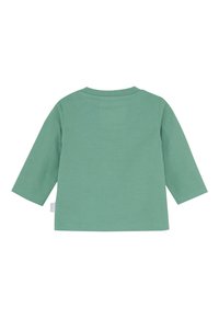 T-shirt à manches longues pour tout-petits en vert pastel uni, présenté de dos, avec un col rond et de simples détails brodés.
