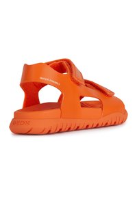 Geox FUSBETTO UNISEX - Sandals - orange