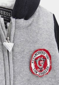 Felpa grigia con zip e maniche blu navy, con una patch ricamata rossa che recita "Established 1981" e "Los Angeles". Texture morbida.